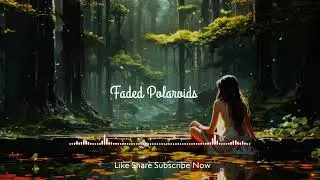 Faded Polaroid (Official Audio) #lofi