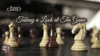 Pure Chess | Taking a Look at The Game | PC
