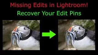 Disappearing Masks and Other Edits - How to Find them in Lightroom