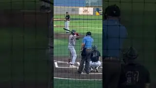 Start of West Virginia Black Bears game #milb #westvirginia #baseball all