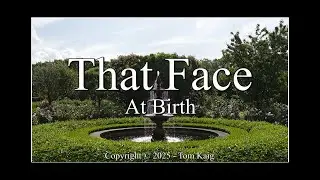 That Face &ndash; Part 1 (At Birth) &ndash; Tom Kaig