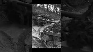 🌲H&uuml;rtgen Forest  A WWII Battle of Survival🌲#H&uuml;rtgenForest #WWIIBattle #WWIIHistory #BattleofH&uuml;rtgen