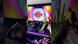 Old ass potato meets green onion for the first time while connected to a modular audio video synth