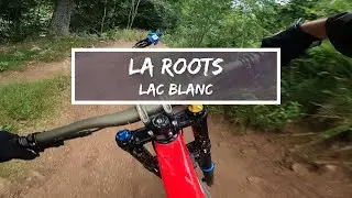 DH - MTB / Piste complète : LA ROOTS / Lac Blanc bike park / 2021