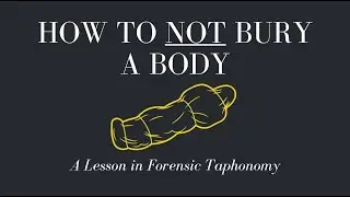 The Truth That Lies Underneath | Science Debunked