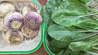 Palak Shalgam Easy | Spicy and Tasty Recipe Healthy Turnip Spinach Recipe | Palak Shalgam Recipe