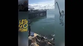 Darren catching luderick and flatty at the Brewery. Newcastle Harbour. Bait: weed.