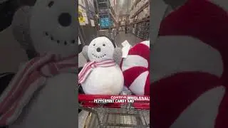 Cozy Holiday Pillows at Costco | Festive Home Finds
