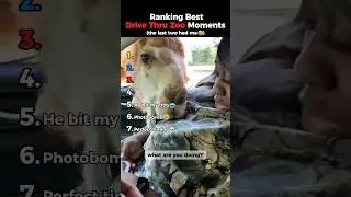 7 самых крутых моментов в зоопарке, которые прошли на машине 🐒😭