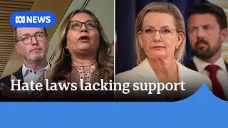 Government's hate crime and gun control bill gets pushback from other parties | ABC NEWS