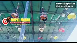 MENANG atau KALAH Lomba Burung TRUCUKAN Tetap Ropel Mania