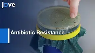 Plasmid-Mediated Antibiotic Resistance Quantification | Protocol Preview