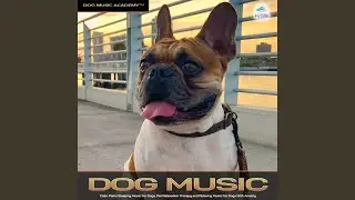 Dog Music For Sleep