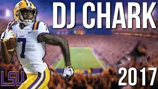 DJ Chark LSU Highlights (2017) | HD