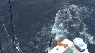 CatchStat | Offshore World Championship Fish #18488