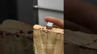 A way to fix cracked wood #WoodFix #DIYRepair #WorkshopTips