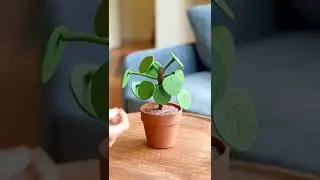 The Plant that Saves Marriages