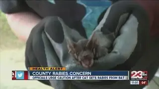 Rabies incident involving bats in Kern County