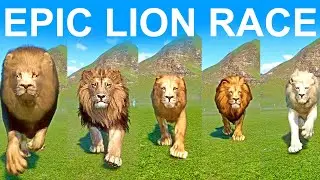Ultimate Epic Lion Race in Planet Zoo included Cape Lion, African Lion, Congo Lion, White Lion,