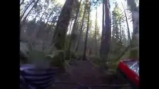 Norma's Loop, Beaverlodge Lands, Campbell River.