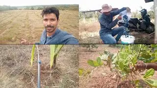 Dripl fiting 16mm drip irrigation kaju plant ट्रिपल फिटिंग काजू सुपारी प्लांट