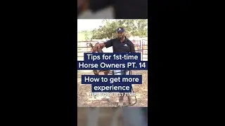 Getting Horse Experience as a First-Time Horse Owner