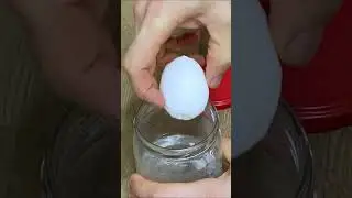 Peel a Boiled Egg in 5 Seconds &mdash; Life-Changing Hack! 🥚