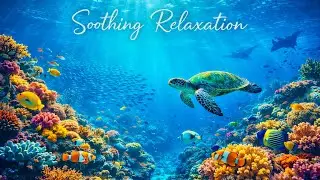 8 Hours of Relaxing Music | Soothing Music for Stress Relief, Sleep, Study, Meditation, Spa #relax