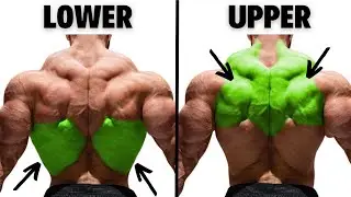 Back And Traps Workout | Ultimate Back and Trap Pump | Gym Exercises