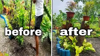 DIY: Simple Garden ideas|| Gamit ang Driftwood, Lemon Lime Philo, Croton plant at Orchid
