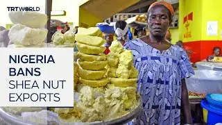 Nigeria suspends raw shea nut exports to boost local industry