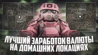ФАРМ НА ДОМАШНИХ ЛОКАЦИЯХ! Сколько ЗАРАБОТАЛ?! | STALCRAFT