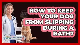 How To Keep Your Dog From Slipping During A Bath?
