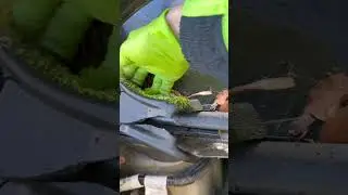 Backstage, how to wash a car, day at work, Mobile Car Valeting Kinsale