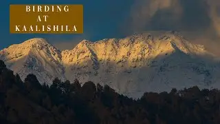 Kaalishila Temple: Winter Birding and Landscape Photography in Uttarakhand Himalayas (Part1)