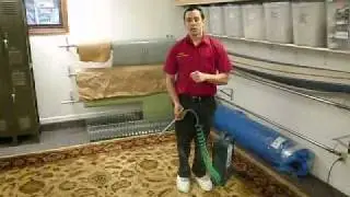 Rug Protection