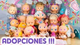 🍼 Noa y Noe  adoptan a un mont&oacute;n de beb&eacute;s Bellies! Record de adopciones! C&oacute;mo cuidar de tu Beb&eacute;!