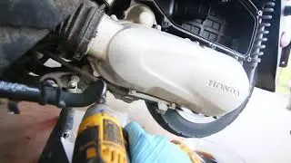 Honda elite oil and gear change