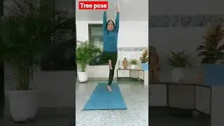 Tree pose(good for nervous system) #youtube#short#ytshorts#yoga#asana#fitness#yogabybela_dileep