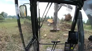 Последние пни