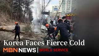 Severe Cold and Hurricane-Strength Winds Freeze Korea, Causing Fatalities and Urban Damage