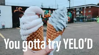 Edmonton Eats | YELO&rsquo;D IS A MUST TRY!