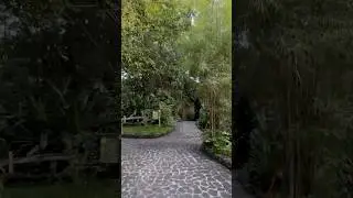 Secret Garden 💙