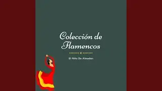 Serenata