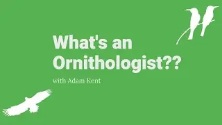 What's an Ornithologist??