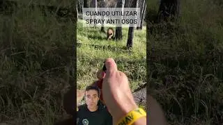 Evito el ataque de un OSO con el spray #supervivencia #emergencia #curiosidades