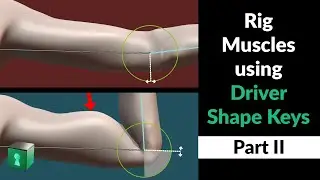 Blender Secrets - Using Drivers for Muscle Deformations 💪