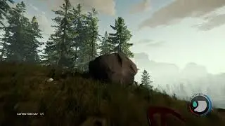 THE FOREST #3 - WIR ERKUNDEN DIE GEGEND & BRAUCHEN NEUE SACHEN ZUM WEITERKOMMEN!!!🎮😱😮😨😲👀🤩😎😱🎮