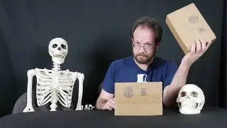 HorrorPack April 2023 Unboxing & Review | DVD & Blu-ray Horror Packs
