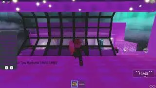 ROBLOX ID CODES